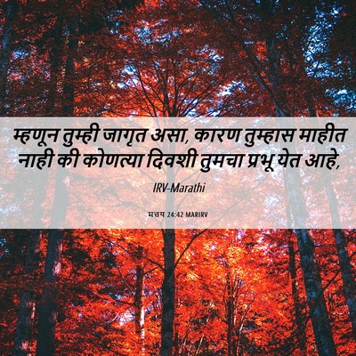 Picture 06 - मत्तय 24:42 MARIRV - म्हणून तुम्ही - Bible Verse Picture