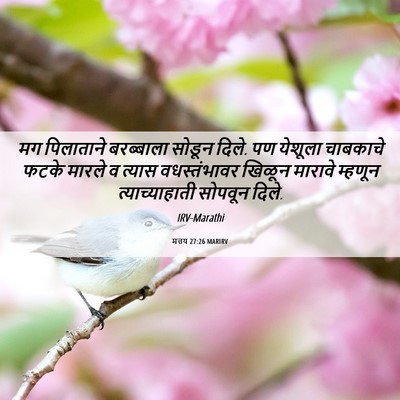 Picture 06 - मत्तय 27:26 MARIRV - मग पिलाताने - Bible Verse Picture