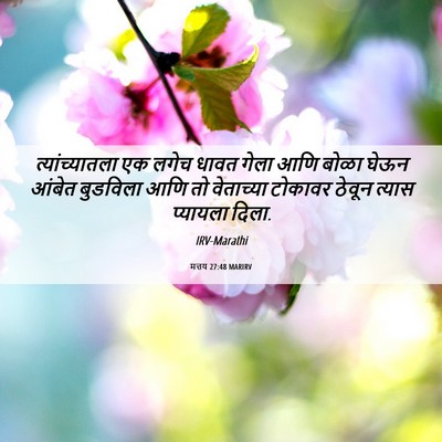 Picture 06 - मत्तय 27:48 MARIRV - त्यांच्यातला एक - Bible Verse Picture