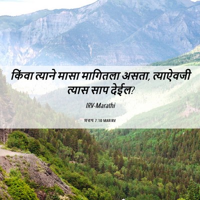 Picture 06 - मत्तय 7:10 MARIRV - किंवा त्याने मासा - Bible Verse Picture