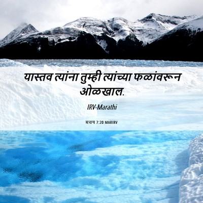 Picture 06 - मत्तय 7:20 MARIRV - यास्तव त्यांना - Bible Verse Picture