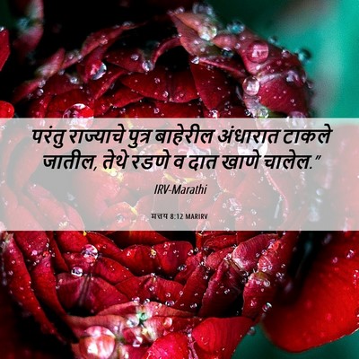 Picture 06 - मत्तय 8:12 MARIRV - परंतु राज्याचे - Bible Verse Picture