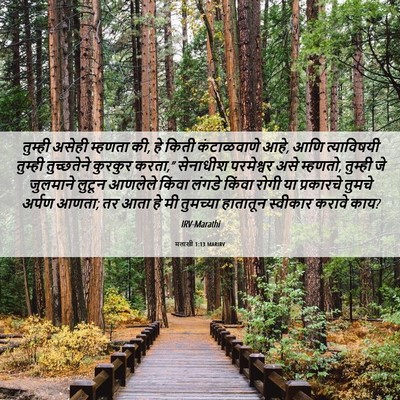 Picture 06 - मलाखी 1:13 MARIRV - तुम्ही असेही - Bible Verse Picture