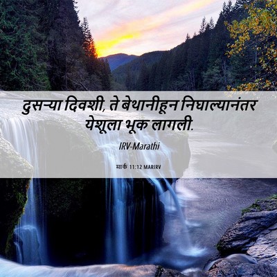 Picture 06 - मार्क 11:12 MARIRV - दुसऱ्या दिवशी, ते - Bible Verse Picture