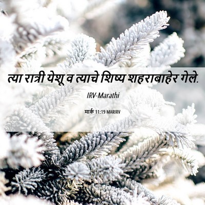 Picture 06 - मार्क 11:19 MARIRV - त्या रात्री येशू व - Bible Verse Picture