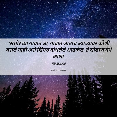 Picture 06 - मार्क 11:2 MARIRV - “समोरच्या गावात - Bible Verse Picture