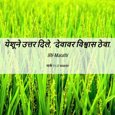 Picture 06 - मार्क 11:22 MARIRV - येशूने उत्तर दिले, - Bible Verse Picture