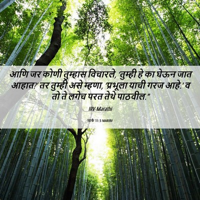 Picture 06 - मार्क 11:3 MARIRV - आणि जर कोणी - Bible Verse Picture