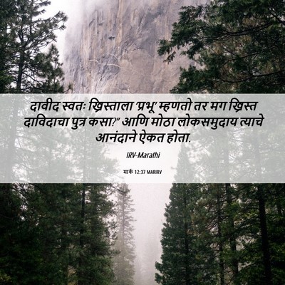 Picture 06 - मार्क 12:37 MARIRV - दावीद स्वतः - Bible Verse Picture