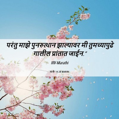 Picture 06 - मार्क 14:28 MARIRV - परंतु माझे - Bible Verse Picture