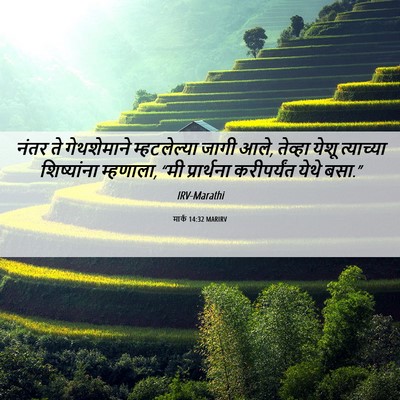 Picture 06 - मार्क 14:32 MARIRV - नंतर ते गेथशेमाने - Bible Verse Picture