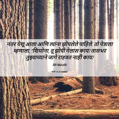 Picture 06 - मार्क 14:37 MARIRV - नंतर येशू आला आणि - Bible Verse Picture