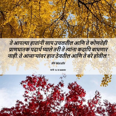 Picture 06 - मार्क 16:18 MARIRV - ते आपल्या हातांनी - Bible Verse Picture