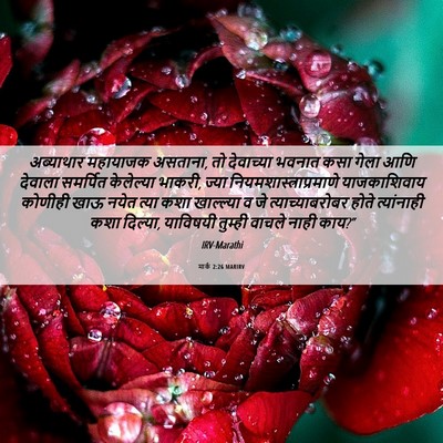 Picture 06 - मार्क 2:26 MARIRV - अब्याथार महायाजक - Bible Verse Picture