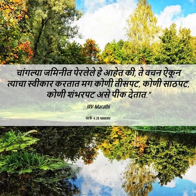Picture 06 - मार्क 4:20 MARIRV - चांगल्या जमिनीत - Bible Verse Picture