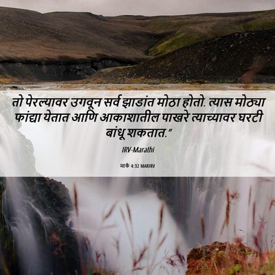 Picture 06 - मार्क 4:32 MARIRV - तो पेरल्यावर - Bible Verse Picture