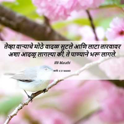 Picture 06 - मार्क 4:37 MARIRV - तेव्हा वाऱ्याचे - Bible Verse Picture