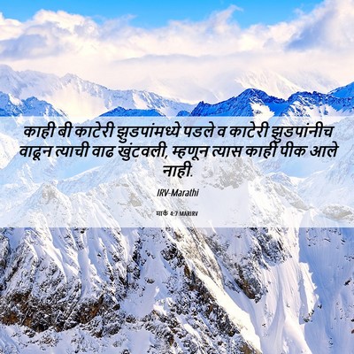 Picture 06 - मार्क 4:7 MARIRV - काही बी काटेरी - Bible Verse Picture