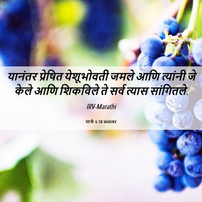 Picture 06 - मार्क 6:30 MARIRV - यानंतर प्रेषित - Bible Verse Picture