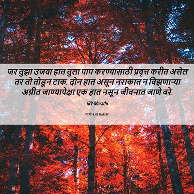 Picture 06 - मार्क 9:43 MARIRV - जर तुझा उजवा हात - Bible Verse Picture
