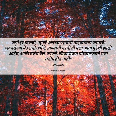 Picture 06 - यशया 1:11 MARIRV - परमेश्वर म्हणतो, - Bible Verse Picture