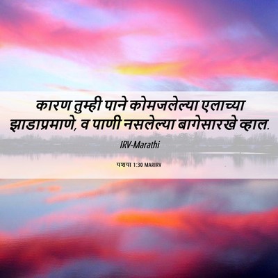 Picture 06 - यशया 1:30 MARIRV - कारण तुम्ही पाने - Bible Verse Picture