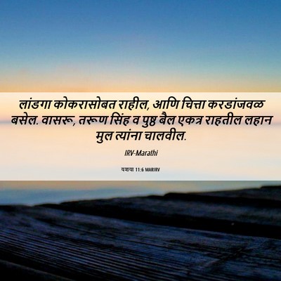 Picture 06 - यशया 11:6 MARIRV - लांडगा कोकरासोबत - Bible Verse Picture