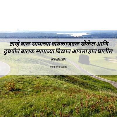 Picture 06 - यशया 11:8 MARIRV - तान्हे बाळ - Bible Verse Picture
