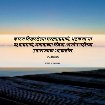 Picture 06 - यशया 16:2 MARIRV - कारण विखरलेल्या - Bible Verse Picture