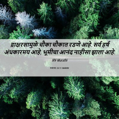 Picture 06 - यशया 24:11 MARIRV - द्राक्षरसामुळे - Bible Verse Picture