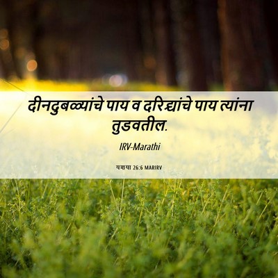Picture 06 - यशया 26:6 MARIRV - दीनदुबळ्यांचे पाय - Bible Verse Picture