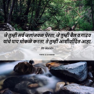 Picture 06 - यशया 32:20 MARIRV - जे तुम्ही सर्व - Bible Verse Picture