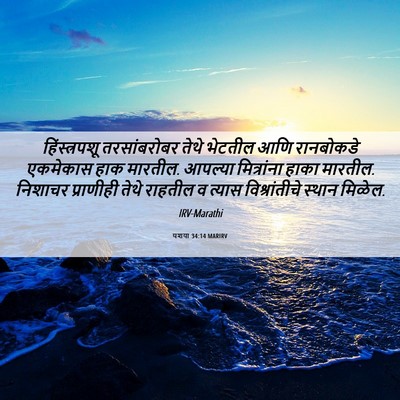 Picture 06 - यशया 34:14 MARIRV - हिंस्त्रपशू - Bible Verse Picture