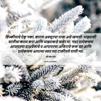 Picture 06 - यशया 36:16 MARIRV - हिज्कीयाचे ऐकू - Bible Verse Picture