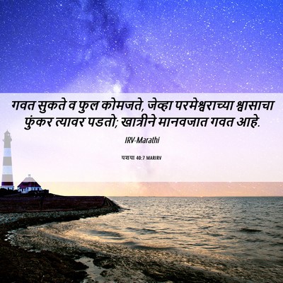 Picture 06 - यशया 40:7 MARIRV - गवत सुकते व फुल - Bible Verse Picture