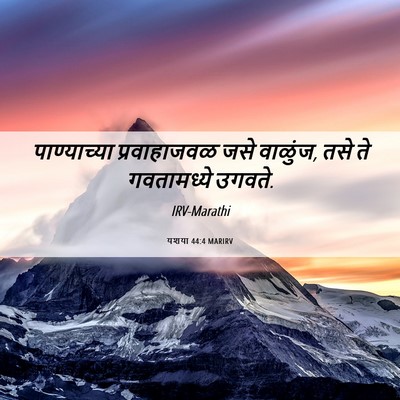 Picture 06 - यशया 44:4 MARIRV - पाण्याच्या - Bible Verse Picture