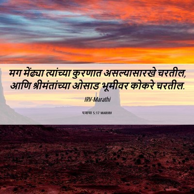 Picture 06 - यशया 5:17 MARIRV - मग मेंढ्या - Bible Verse Picture