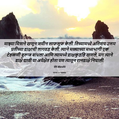 Picture 06 - यशया 5:2 MARIRV - माझ्या मित्राने - Bible Verse Picture