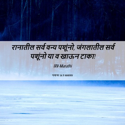 Picture 06 - यशया 56:9 MARIRV - रानातील सर्व वन्य - Bible Verse Picture