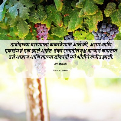 Picture 06 - यशया 7:2 MARIRV - दावीदाच्या - Bible Verse Picture