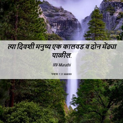 Picture 06 - यशया 7:21 MARIRV - त्या दिवशी मनुष्य - Bible Verse Picture