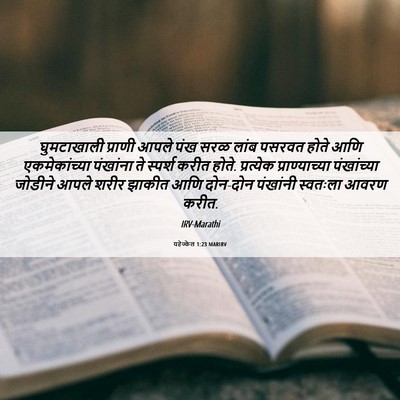 Picture 06 - यहेज्केल 1:23 MARIRV - घुमटाखाली प्राणी - Bible Verse Picture