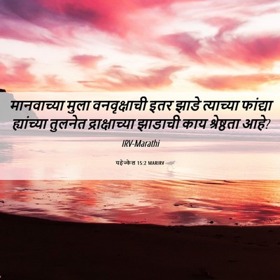 Picture 06 - यहेज्केल 15:2 MARIRV - मानवाच्या मुला - Bible Verse Picture