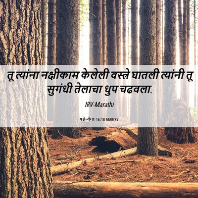 Picture 06 - यहेज्केल 16:18 MARIRV - तू त्यांना - Bible Verse Picture