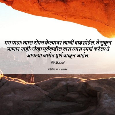 Picture 06 - यहेज्केल 17:10 MARIRV - मग पाहा! त्यास रोपन - Bible Verse Picture