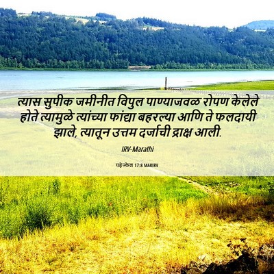 Picture 06 - यहेज्केल 17:8 MARIRV - त्यास सुपीक - Bible Verse Picture