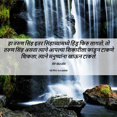 Picture 06 - यहेज्केल 19:6 MARIRV - हा तरुण सिंह इतर - Bible Verse Picture