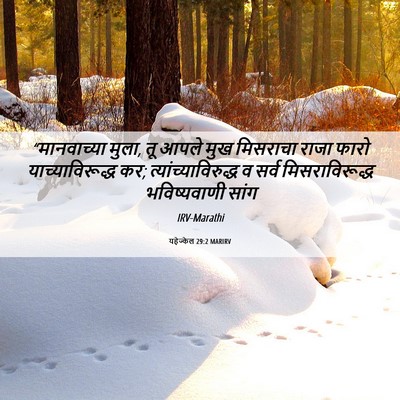 Picture 06 - यहेज्केल 29:2 MARIRV - “मानवाच्या मुला, - Bible Verse Picture