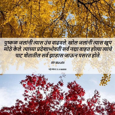 Picture 06 - यहेज्केल 31:4 MARIRV - पुष्कळ जलांनी - Bible Verse Picture