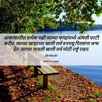 Picture 06 - यहेज्केल 31:6 MARIRV - आकाशातील प्रत्येक - Bible Verse Picture